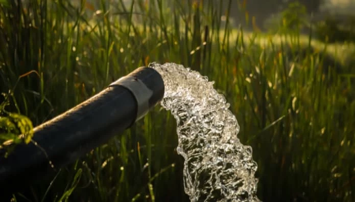 Green Island Group Corp performing land clearing and site preparation for agricultural projects